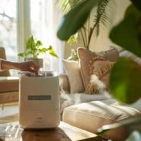Combien de temps par jour utiliser un déshumidificateur ? Guide complet