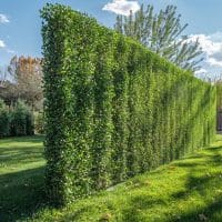 Comment installer un brise vue efficace contre un voisin en hauteur ?