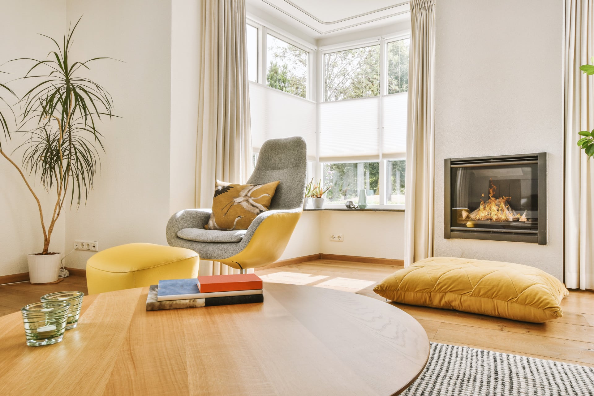 Chaises design pour un intérieur cosy et élégant