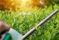 Comment choisir le bon matériel pour entretenir son jardin ?