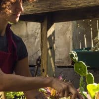 Jardinage urbain : les contenants en toile technique pour petits espaces