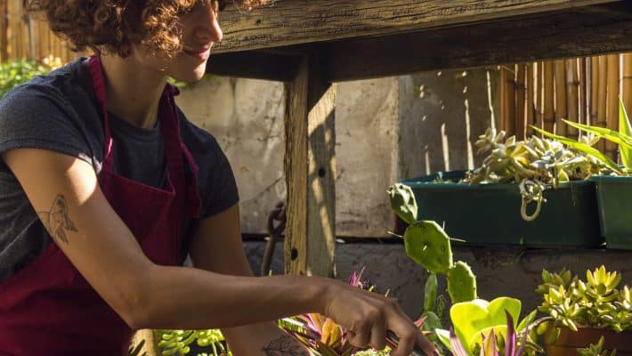 Jardinage urbain : les contenants en toile technique pour petits espaces