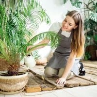 Comment créer une ambiance méditerranéenne sur sa terrasse avec des plantes en pot ?